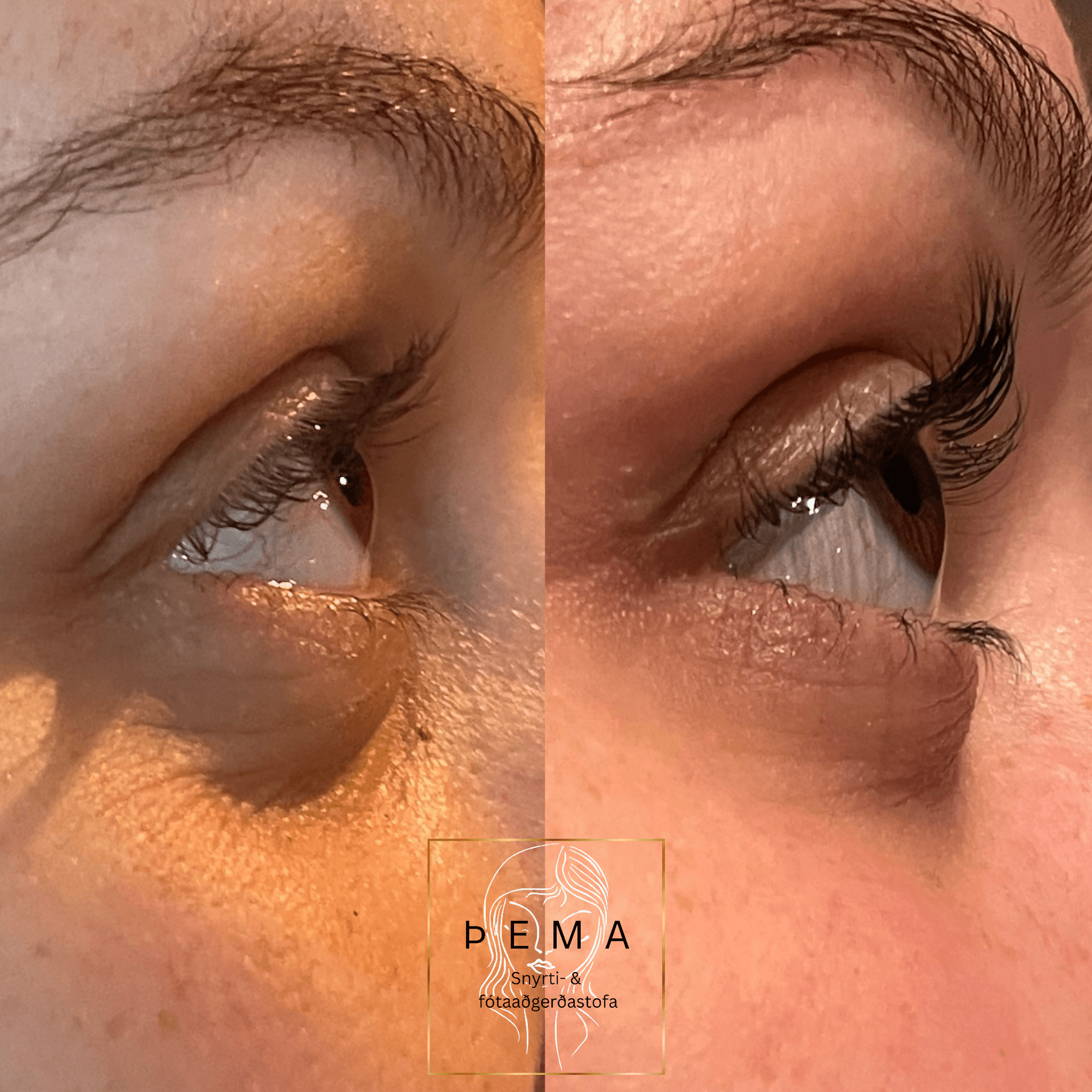Lash lift með litun á augnhár